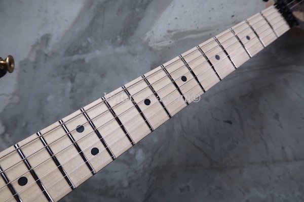 画像4: Charvel USA Custom Shop Warren De Martini/  Signature / SnakeSkin Graphic (2) (4)