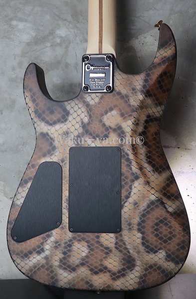 画像2: Charvel USA Custom Shop Warren De Martini/  Signature / SnakeSkin Graphic (2) (2)