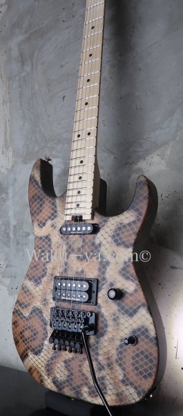 画像6: Charvel USA Custom Shop Warren De Martini/  Signature / SnakeSkin Graphic (2) (6)