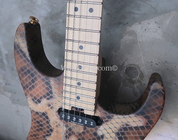 画像11: Charvel USA Custom Shop Warren De Martini/  Signature / SnakeSkin Graphic (2) (11)