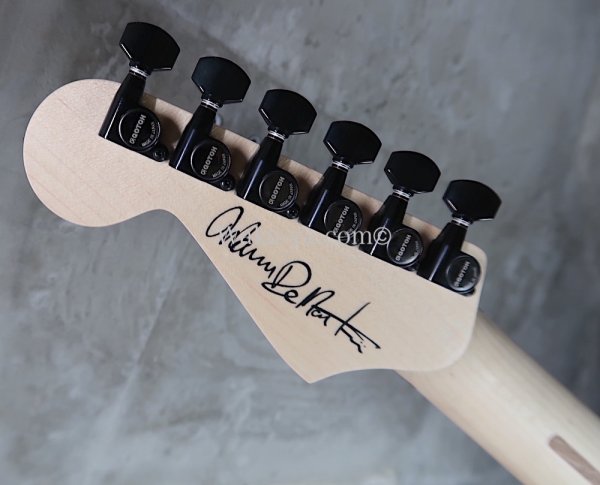 画像7: Charvel USA Custom Shop Warren De Martini/  Signature / SnakeSkin Graphic (2) (7)