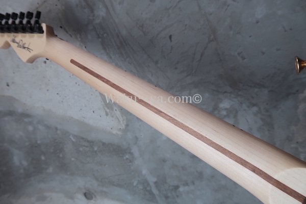 画像8: Charvel USA Custom Shop Warren De Martini/  Signature / SnakeSkin Graphic (2) (8)