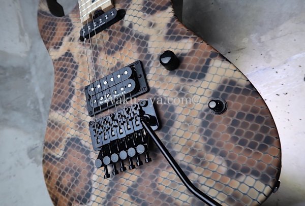 画像10: Charvel USA Custom Shop Warren De Martini/  Signature / SnakeSkin Graphic (2) (10)
