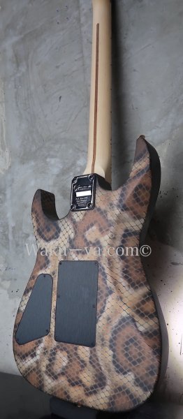 画像5: Charvel USA Custom Shop Warren De Martini/  Signature / SnakeSkin Graphic (2) (5)
