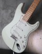 画像13: Fender Custom Shop Robin Trower Stratocaster  NOS / Arctic White (13)