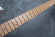 画像4: Fender Custom Shop Robin Trower Stratocaster  NOS / Arctic White (4)