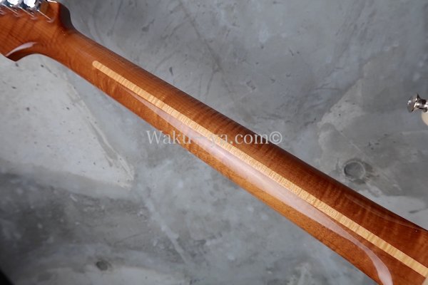 画像8: Fender Custom Shop American Custom Stratocaster NOS / Honey Blonde (8)