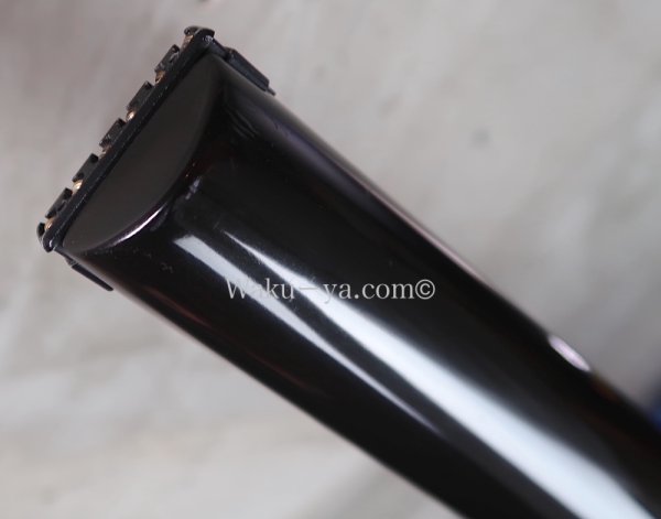 画像6: Steinberger GP-4TA '87 / Black (6)