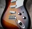 画像5: ♬一本限り☆緊急入荷☆即納可☆Fender Custom Shop Limited Edition BVLGARI Stratocaster® /  NOS (5)