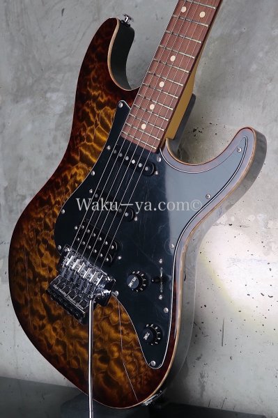 画像9: Suhr Standard Bengal Burst w/ Binding (9)