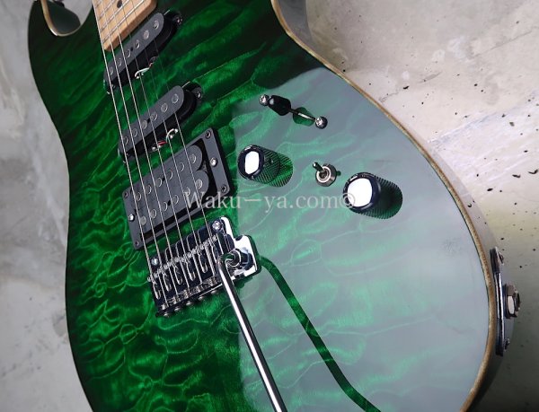 画像11: Tom Anderson DropTop/Trans green to forest burst (11)