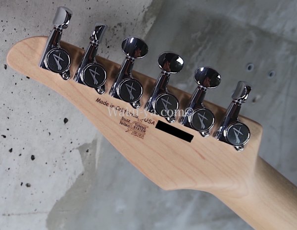 画像7: Tom Anderson DropTop/Trans green to forest burst (7)