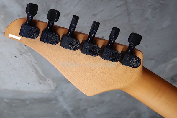 画像7: Suhr Standard  EMG Space Ace Violet / Green  (7)