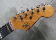 画像3: Valley Arts '78　Stratocaster SSS / Natural  (3)