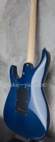 画像6: Tom Anderson Guardian Angel  /  Natural Arctic Blue with Binding (6)