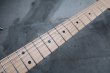 画像4: Tom Anderson Guardian Angel  /  Natural Arctic Blue with Binding (4)