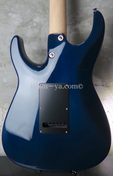 画像2: Tom Anderson Guardian Angel  /  Natural Arctic Blue with Binding (2)