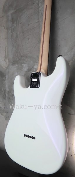 画像6: Charvel USA Custom shop "Jake E. Lee" Signature  (6)