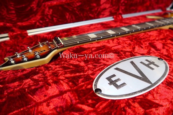 画像14: EVH Wolfgang Hard Tail Sunburst (14)