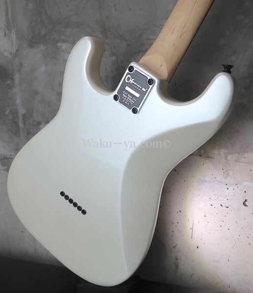 画像12: Charvel  "Jake E Lee" Signature Model /  Pro-Mod  (12)