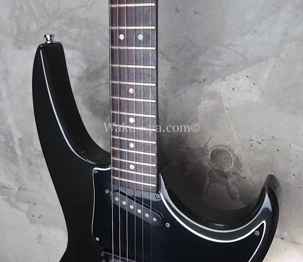 画像10: Hamer USA Phantom  A5  Glenn Tipton Black  / Vintage  (10)