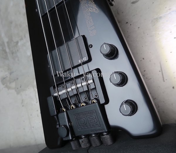 画像12: Steinberger XL-2DA Elite (12)