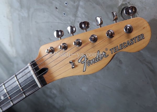 画像3: Fender MIJ Limited Telecaster® Thinline / Kusumi White (3)