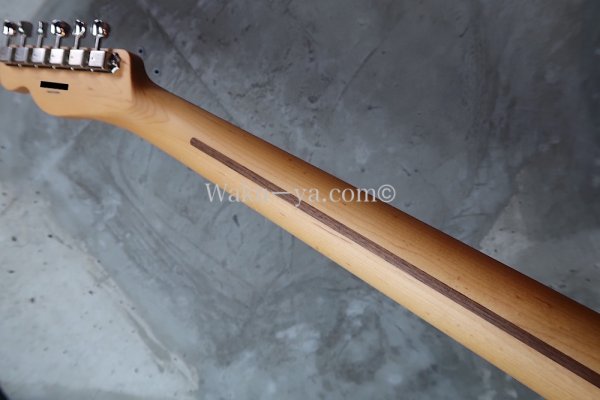 画像8: Fender MIJ Limited Telecaster® Thinline / Kusumi White (8)