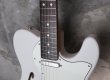 画像10: Fender MIJ Limited Telecaster® Thinline / Kusumi White (10)