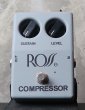画像1: ROSS Audibles Compressor 2019  / Grey  (1)