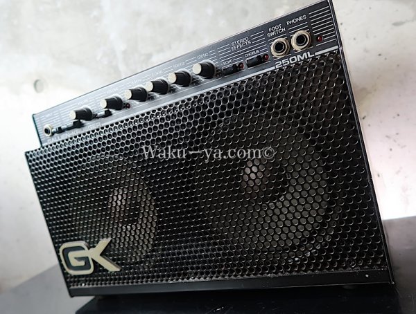 画像8: Gallien-Krueger 250ML / SELIES II (4) (8)