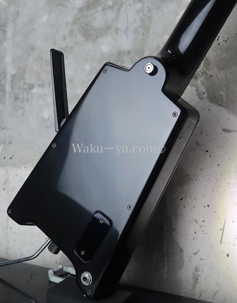 画像10: Steinberger GL-7TA '92 /  Elite  (10)