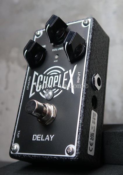 画像4: JIM DUNLOP / EP103 ECHOPLEX DIGITAL DELAY (4)