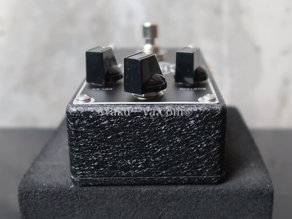 画像3: JIM DUNLOP / EP103 ECHOPLEX DIGITAL DELAY (3)