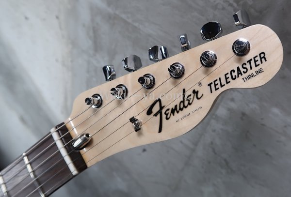 画像3: Fender  Telecaster '72 Thinline Mod  (3)