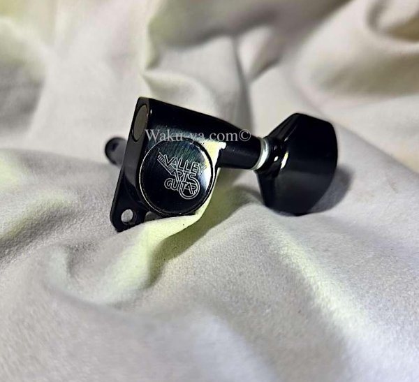 画像1: Valley Arts Custom Pro USA / Vintage Gotoh Tuner Peg's / Black (1)