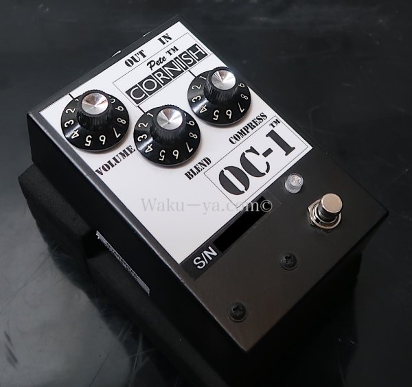 画像6: Pete cornish  OC-1 (6)