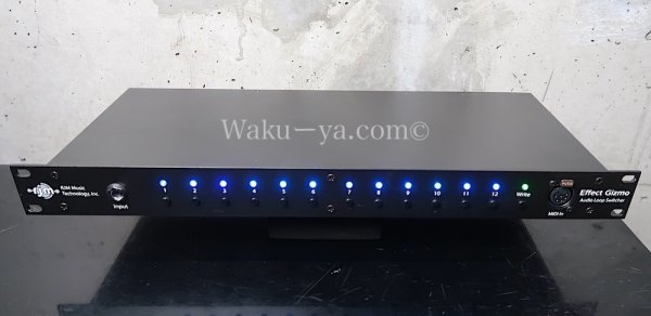 画像1: RJM Music Technology  Effect Gizmo (1)