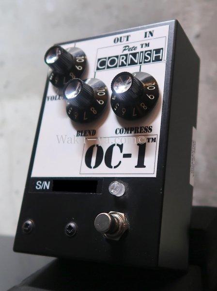 画像4: Pete cornish  OC-1 (4)