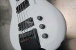 画像5: Steinberger XQ-25W  / EMG /  White (5)