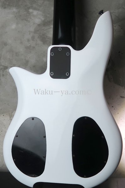 画像12: Steinberger XQ-25W  / EMG /  White (12)