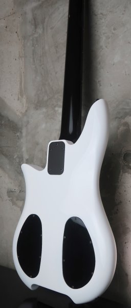 画像9: Steinberger XQ-25W  / EMG /  White (9)