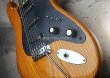 画像11: Valley Arts '78　Stratocaster SSS / Natural  (11)