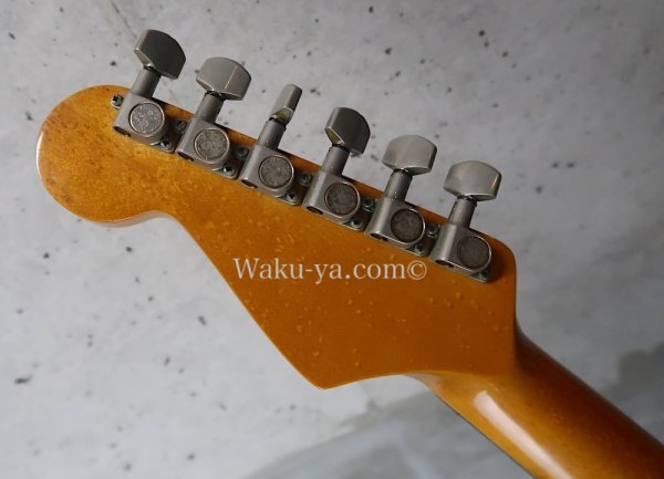 画像6: Valley Arts '78　Stratocaster SSS / Natural  (6)