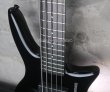 画像10: Steinberger XQ-25WA   / bartolini /  Black (10)