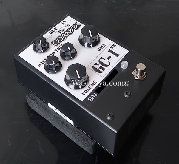 画像6: Pete cornish  GC-1 (6)