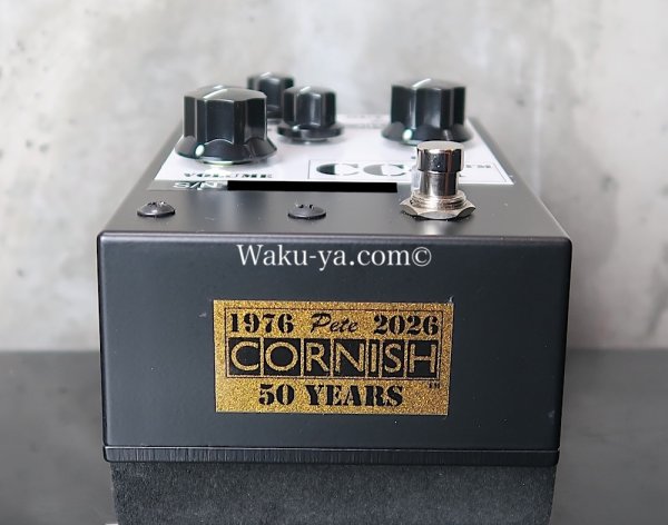 画像6: Pete cornish  CC-1 (6)