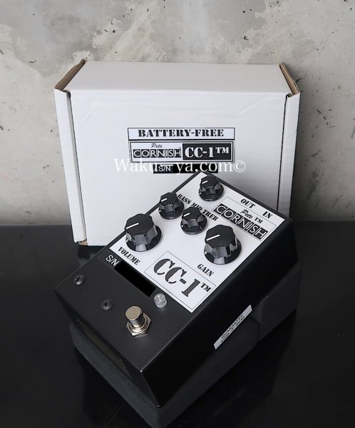 画像7: Pete cornish  CC-1 (7)