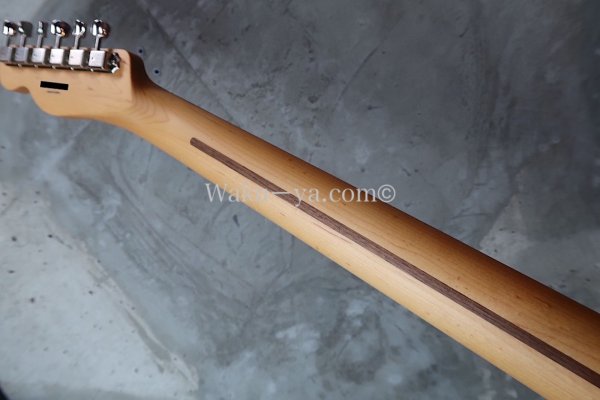 画像8: Fender MIJ Limited Telecaster® Thinline / Kusumi White (8)