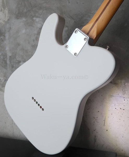 画像9: Fender MIJ Limited Telecaster® Thinline / Kusumi White (9)
